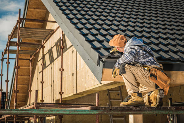 Best Roof Maintenance and Cleaning  in Warroad, MN